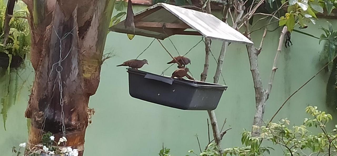 Espaco Aconchego Com Ar-Condicionado E Amplo Jardim Villa Caraguatatuba Esterno foto