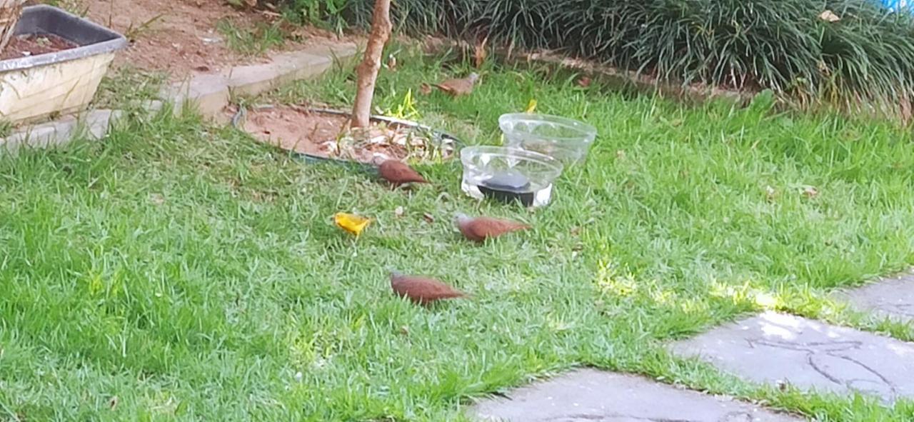 Espaco Aconchego Com Ar-Condicionado E Amplo Jardim Villa Caraguatatuba Esterno foto